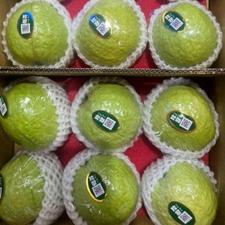 珍脆芭樂，2023新品種，香脆果厚，乳黃色, 1箱/7-10粒裝大顆,1單位