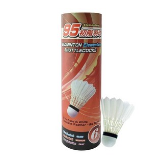 SUCCESS 成功 綠標 羽毛球 練習球 12入 一筒, 1個, 成功 紅標初階羽球(6顆)