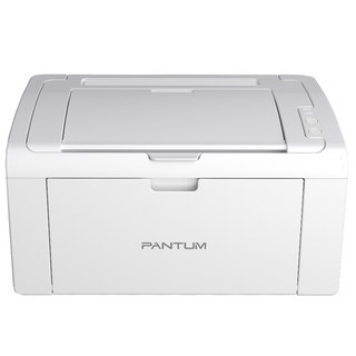 Pantum 黑白無線雷射印表機 P2509W