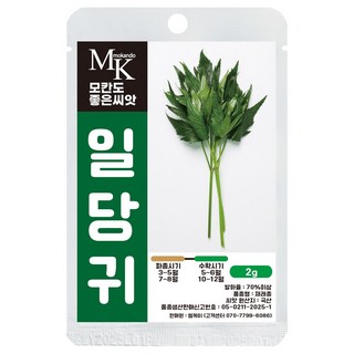 모칸도 좋은씨앗 일당귀 씨앗 2g 향나물 쌈채소 잎줄기 채소 씨앗, 1개