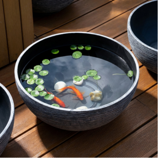 리비아쿠아 메다카 송사리 수반 어항 플라스틱 미니 금붕어 키우기, 그레이