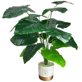 仿真龜背葉盆栽, 綠色, 1件