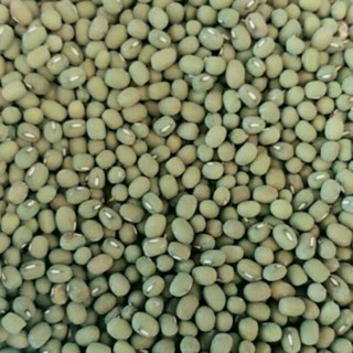 精選毛綠豆 600公克 300公克 綠豆 - 清涼解渴、口感綿密、獨立包裝, 1個, 一斤裝（600公克）