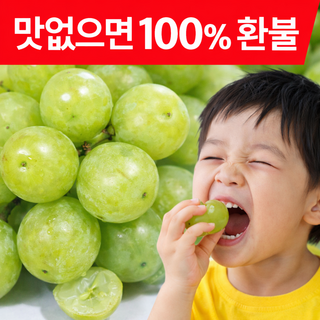 [레몬990] 당도선별 프리미엄 샤인머스켓 초특가, 샤인머스켓 / 1kg / 가정용 / 2-3과, 1개