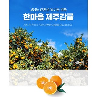 제주 타이백 유기농 감귤 고당도 감귤 친환경 감귤 한마음농원 감귤 못난이감귤 제주감귤, 타이백유기농감귤 쥬스용 10kg, 1박스