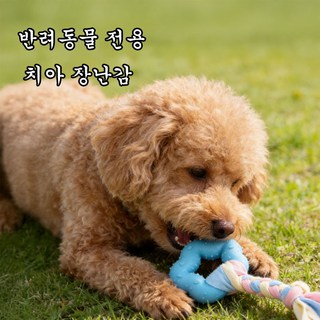 꽃 모양 실리콘 강아지 장난감 귀여운 핑크색과 파란색 치아 건강에 좋음 1개