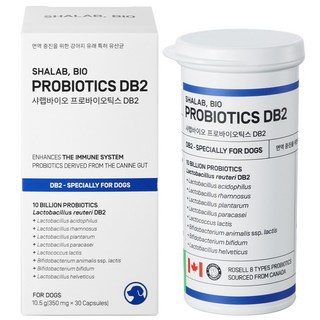샤랩바이오 강아지 유산균 면역 프로바이오틱스 DB2 영양제 30캡슐, 30회분, 장건강/유산균, 1개