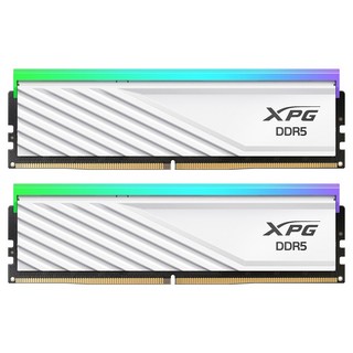 ADATA DDR5-6000 CL36 LANCER BLADE RGB 화이트 패키지 서린 (32GB(16Gx2))