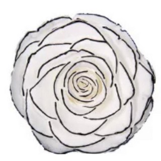 mumu花禮 黑邊金邊永生玫瑰 6cm大朵金銀玫瑰 長梗不凋花 情人節花束, 白底黑邊2-3cm