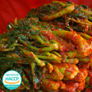 [청정여수] 돌산 갓김치 산지직송, 3kg, 1개