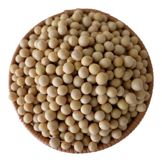 여우마을 자연곡물 국산 백태 메주콩 햇콩, 1개, 1kg