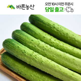 < 바른농산 > 국내산 오이 다다기오이 백오이 (특품), 15개, 200g