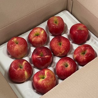 껍질째먹는 고당도 경북 안동 햇 꿀사과, 1박스, 2kg(10-14과)