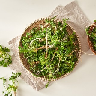 간편한 국내산 데친 손질 노지 냉이 진공포장, 1개, 1kg