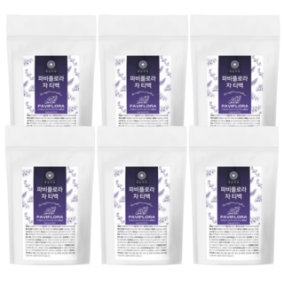 파비플로라 추출물 100% 식약청인증 파비 플로라 흑생강 차 티백 명동약방, 6개, 30회분