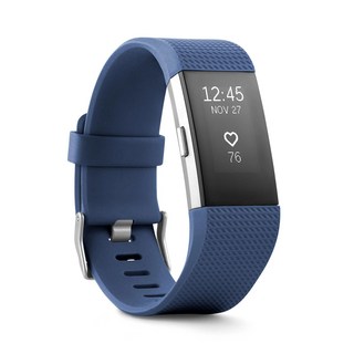 Fitbit Charge 2 밴드 이미지