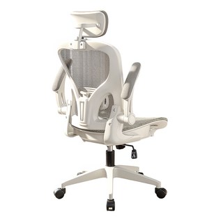Xpanse 901 青少年學生椅 人體工學椅 家用辦公椅 可翻轉護手 電腦椅電競椅旋轉升降椅 小戶型首選, W901白色-冰絲全網-可逍遙