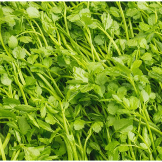 [신일농산] 국내산 돌미나리 박스미나리 4kg (종이박스), 1박스