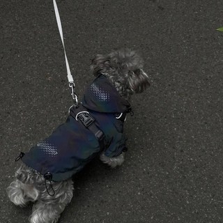 全店折扣 機能風潮牌狗狗棉服冬季保暖抽繩比熊雪納瑞泰迪法鬥博美秋冬款, 隨機小鈴鐺,Xs背19約1.0公斤左右, 1個