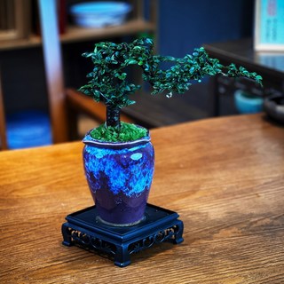 懸掛式創意綠植組合盆景 四季結婚造景陶瓷盆栽, 1個, 老樁榆樹+水墨意境瓷盆+底座【限時折扣】一整套栽好包好發出