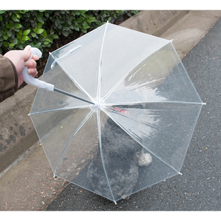 엘제이글로벌 애견 우산 개우산 산책 장마 비오는날 우비 대용, 1개, 강아지 고양이 우산