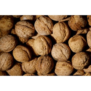 2025 햇호두 국산 알호두 가정용 소과 영동군 솔담농원 호두, 1박스, 5kg