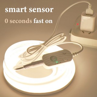 작업등 충전식 LED 화물차 캠핑 랜턴 USB 모션 센서 led 스트립 주방 조명 램프 야간 Led 캐비닛 DC 네온, 4.Usb sensing - 6000K-white li