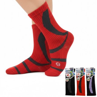 本之豐 MIT 萊卡精梳棉運動襪 抗菌消臭 足弓加強款 (20-24cm)