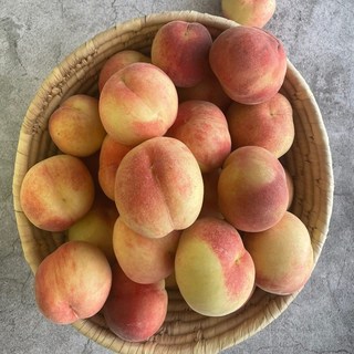 복숭아 백도