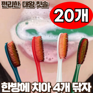 지빈 한방에 치아 닦는 대왕 헤드 칫솔 세트, 20개, 1세트