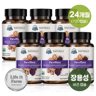라이프인팜 파비플로라 흑생강 1000mg 장용성 720비건캡슐 24개월분 추출물, 6개, 120캡슐