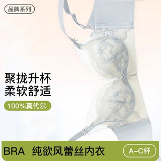 蕾絲內衣女小胸聚攏顯大性感文胸罩 (2025新款)