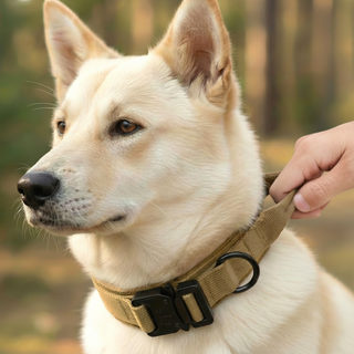 더트롱 핸들 대형견 중형견 버클 목줄, 1개, 베이지