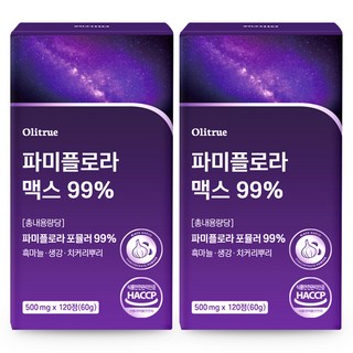 대용량 파미 플로라 99% 흑마늘 생강 HACCP인증, 2개, 120정