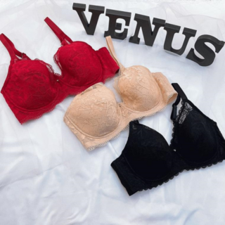 비너스 정상 빅사이즈 보정용 기능성 등살커버 풀컵 레이스 패드브라 A컵B컵C컵S VBRQ863ABC1SDH3534643