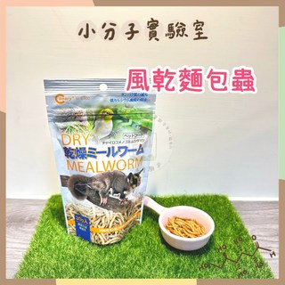 Canary 小分子無添加天然乾燥麵包蟲，倉鼠/刺蝟/蜜袋鼯高蛋白營養點心，天然健康, 1個, 30g