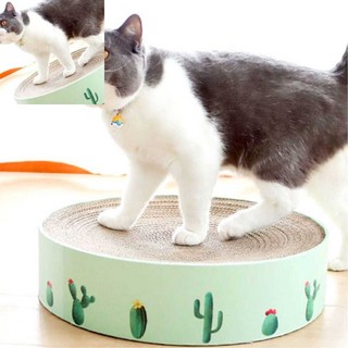 사땨 고양이 스크래처 원형 골판지 캣타워 고양이스크래처 동그라미스크래쳐 캣스크래쳐, L / 소비자가:20200원