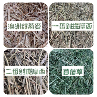 《現貨大包裝》提摩西草/提摩西一番割/提摩西二番割/甜燕麥/苜蓿草 小寵牧草 鼠兔牧草 兔牧草 小動物牧草, 2kg, 1個