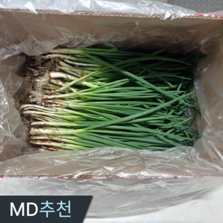 삼시세끼연구소 안질기고 달큰한 2026년 햇 쪽파 흙쪽파, 1세트, 4kg