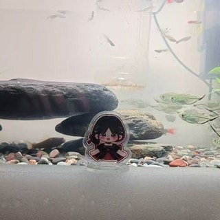 訂製壓克力立牌鑰匙扣 DIY 動漫周邊 明星照片掛件, 1個, 定製廣告 立牌,定製 其他尺寸諮詢客服