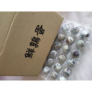 三北北的鮮鶉蛋 菁英鮮鶉蛋 18顆盒裝X18盒 買就送蛋刀 寵物鳥蛋 狗狗零食, 1個, 10g