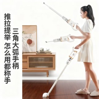 大功率車用吸塵器 家用乾濕兩用無線吸塵器 強力除蟎 無刷電機, 绿色（外贸款）,英文包装