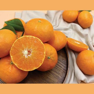 GAP 황금향 백화점 추석 선물 세트 레드향 천혜향 카라향 한라봉 2kg 3kg 4kg 5kg, 1박스, 레드향 5kg