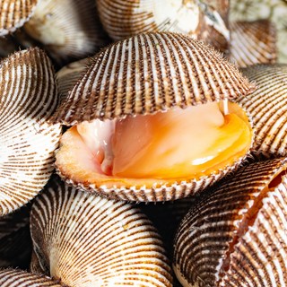 [초신선끝판왕]탱글쫄깃 벌교 산지직송 생물 꼬막 극상품, 1개, 대 3kg