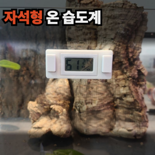 보물찾기 파충류 자석형 부착식 온습도계 도마뱀 크레 사육장 고정식, 1개, 자석형 화이트