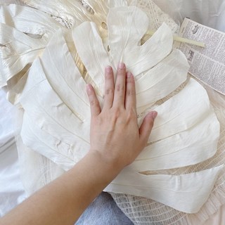 永生龜背芋 永生龜背葉 龜背芋擺拍 文青風擺飾 拍攝道具, 雪白