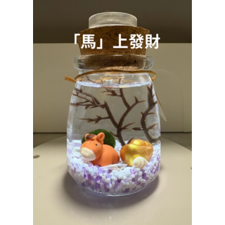 DIY 療癒景觀生態瓶 迷你世界玻璃瓶盆栽 苔蘚微景觀生態瓶, 1個