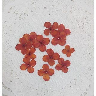 乾燥染色仙丹押花材料 手作DIY植物標本 手工藝裝飾