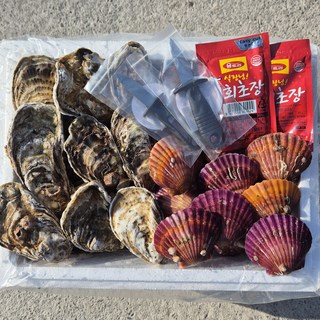 하고잽이수산 브러시세척 깔끔한 통영 석화 가리비세트 (조개칼+회초장), 1세트, 석화3kg/가리비2kg