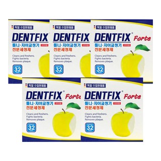 덴트픽스 포르테 틀니 치아교정기 전문세정제32정 5개